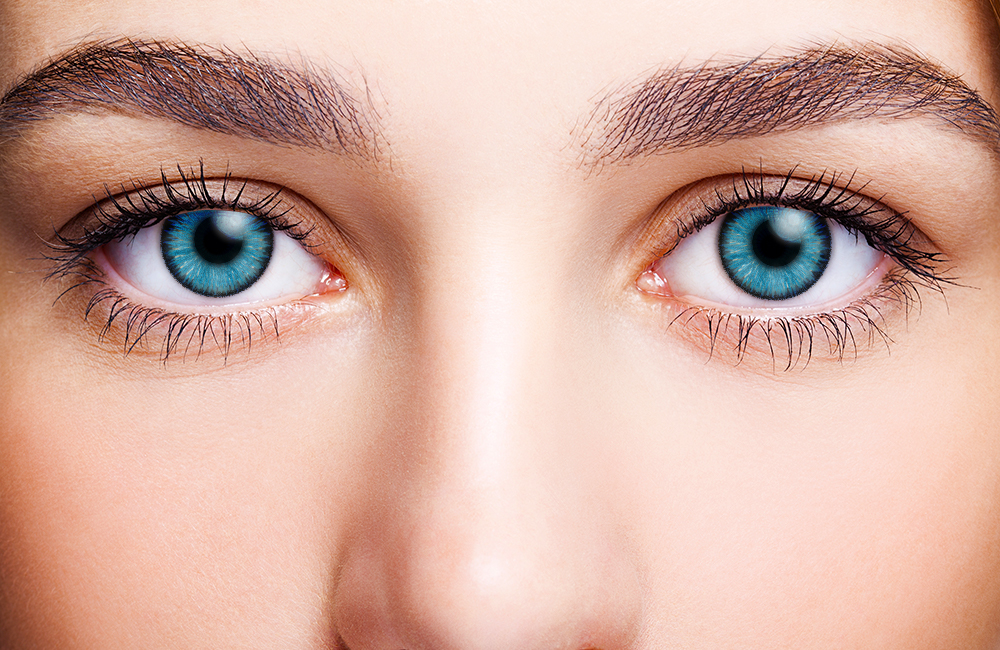 FreshLook ColorBlends Brilliant Blue Weekly Disposable Color Contact Lenses 2 Lenses Per Box