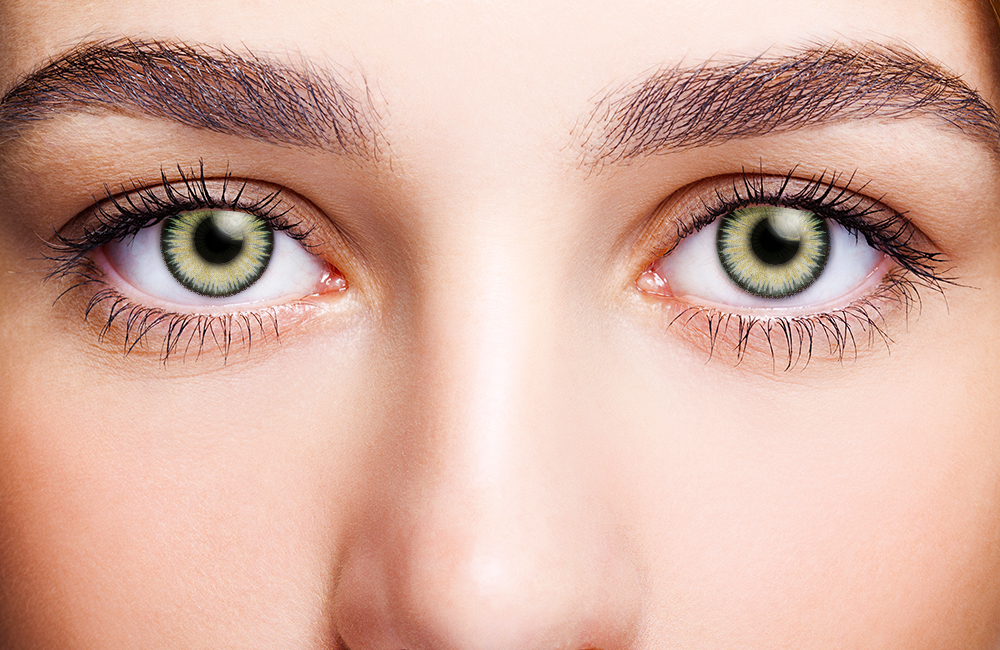 FreshLook ColorBlends Green Weekly Disposable Color Contact Lenses 2 Lenses Per Box